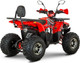 Миниатюра изображения товара Квадроцикл ZeuS Pegas ZD125 (красный)
