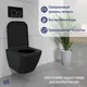 Миниатюра изображения товара Унитаз подвесной Lauter Nuremberg 21811B черный + Breez 21GN7072BM