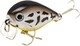 Воблер Lucky Craft Clutch SSR_0218 White Bass 908 / CLTHSSR-0218 — фото 2