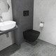 Миниатюра изображения товара Унитаз подвесной с инсталляцией Lauter Nuremberg 21811B + 21901002 (черный, с кнопкой 219701HD хром)