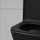 Миниатюра изображения товара Унитаз подвесной с инсталляцией Lauter Nuremberg 21811B + 21901001 (черный, с кнопкой 219702E белый)
