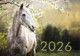 Миниатюра изображения товара Календарь настенный Витебская областная типография Белая лошадь. 2026 год / 25с42
