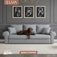 Миниатюра изображения товара Диван ELVA Эвас (Diagonal 995)