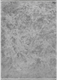 Миниатюра изображения товара Ковер Radjab Carpet Амаль Прямоугольник 0911A (1.5x2, Grey/Grey)