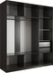 Миниатюра изображения товара Шкаф-купе Евва АЭП ШК.3.01 233 VS.02 (венге/хром)