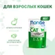 Миниатюра изображения товара Влажный корм для кошек Monge Grill из кролика (28х85г)
