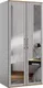 Миниатюра изображения товара Шкаф MODULA Карпин INV01HP-2Z-1002/621/2204(05) (дуб натюрель/серый)