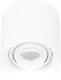 Точечный светильник Arlight SP-ACENTO-R95-10W Day4000 WH 20-45 deg / 055739 — фото 6