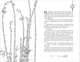 Миниатюра изображения товара Художественная книга О2 Цветы пиона на снегу. Том 5 (Маро Моргана, твердая обложка)