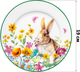 Миниатюра изображения товара Набор тарелок Elan Gallery Кролик в цветочном поле / 880248