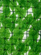 Миниатюра изображения товара Сетка садовая GREENGO Лист осины 300x50см