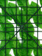 Миниатюра изображения товара Сетка садовая GREENGO Лист осины 300x50см