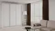 Миниатюра изображения товара Шкаф-купе Рэйгрупп 203 BBX Elgon РГ-08.03 (белый премиум/белый премиум/хром)