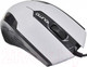 Миниатюра изображения товара Мышь Qumo Office M14 (белый)