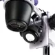 Миниатюра изображения товара Микроскоп цифровой Magus Stereo D8T Base / 85281
