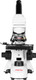 Миниатюра изображения товара Микроскоп цифровой Микромед С-11 вар. 3B в кейсе / 32806