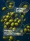 Миниатюра изображения товара Гель для душа Результат.Про Олива (400мл)