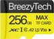 Миниатюра изображения товара Карта памяти BreezyTech Max MicroSD 256GB Class 10 (без адаптера)