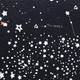 Миниатюра изображения товара Сумка для животных Sima-Land Звездное небо / 10093125 (р.S, черный)