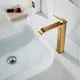 Миниатюра изображения товара Смеситель Shevanik S4011G (золотой сатин)