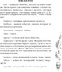 Миниатюра изображения товара Художественная книга Эксмо Господин Зима, твердая обложка (Пратчетт Терри)