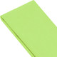 Миниатюра изображения товара Набор бумаги для оформления подарков Золотая сказка 116490 (50л, пастельный салатовый)