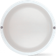 Миниатюра изображения товара Светильник ЖКХ Neox СПП МД-1565-КРУГ 15Вт 6500К 1350Лм / 4690612066127