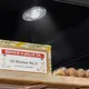 Миниатюра изображения товара Хьюмидор для сигар Meyvel MC-70BT