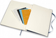 Миниатюра изображения товара Еженедельник Moleskine Classic WKNT XL DHB2012WN4 (синий сапфир)