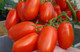Миниатюра изображения товара Набор семян Агрофирма Партнер Томат Жара F1 (2шт)