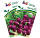 Миниатюра изображения товара Набор семян Агрофирма Партнер Редис Виолетта (2шт)