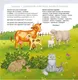 Миниатюра изображения товара Набор развивающих книг Робинс Альбом для развития мозга. Активити-альбом. 3+, мягкая обложка (Писарева Елена)