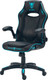 Миниатюра изображения товара Кресло геймерское Floky Nexus (черный/синий V1)