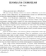 Миниатюра изображения товара Книга АСТ Шамбала. В поисках Гималайской Твердыни (Рерих Н., Бажов П. 9785171817039)