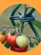 Миниатюра изображения товара Набор зажимов садовых Garden Show Клипсы (20шт)
