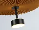 Миниатюра изображения товара Потолочный светильник Ambrella LH72607 BK/CF (черный/кофе)