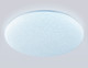 Миниатюра изображения товара Потолочный светильник Ambrella FZ1751 WH (белый)