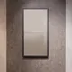 Миниатюра изображения товара Зеркало Silver Mirrors Опера Блэк 60x80 / ФР-00002475