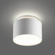 Миниатюра изображения товара Точечный светильник Novotech Lirio 371037