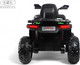 Миниатюра изображения товара Детский квадроцикл RiverToys K001AM (зеленый)
