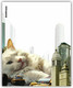 Миниатюра изображения товара Набор обложек Erich Krause Big City Cats / 63508