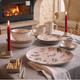 Миниатюра изображения товара Набор столовой посуды Tognana Madison Winter Season / MC070186189