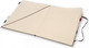 Миниатюра изображения товара Блокнот Moleskine Professional PROPFNTB4HBK XLarge (черный)