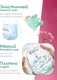 Миниатюра изображения товара Подгузники-трусики детские TANUKI 4 L (44шт)