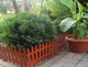 Миниатюра изображения товара Изгородь декоративная Gardenplast Gotika (терракот)