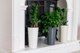 Миниатюра изображения товара Кашпо Gardenplast Камелия (белый)