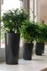 Миниатюра изображения товара Кашпо Gardenplast Камелия (графитовый)