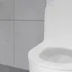 Миниатюра изображения товара Унитаз напольный Lauter Rimless 21D2202 + гигиенический душ Tera 21GN9012BM