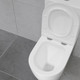 Миниатюра изображения товара Унитаз напольный Lauter Vortex 2110022VF + гигиенический душ AquaTech 21LT0101CH