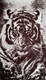 Миниатюра изображения товара Полотенце Privilea Тигр 9С46 (50х90)